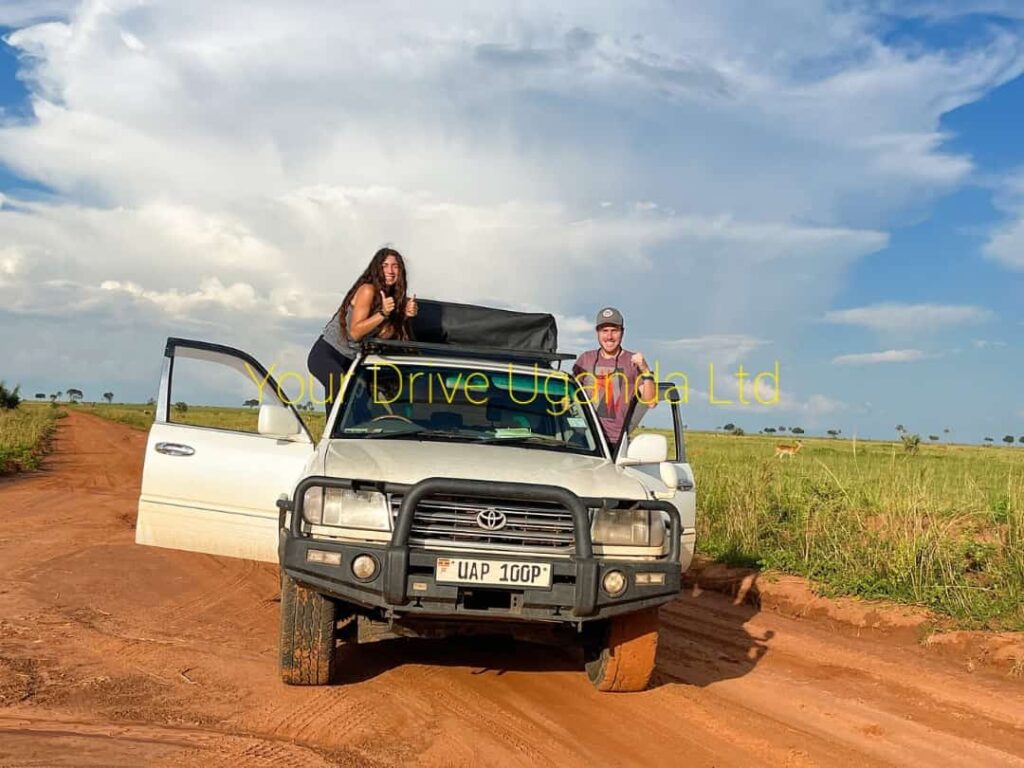 game drives in Murchison Falls