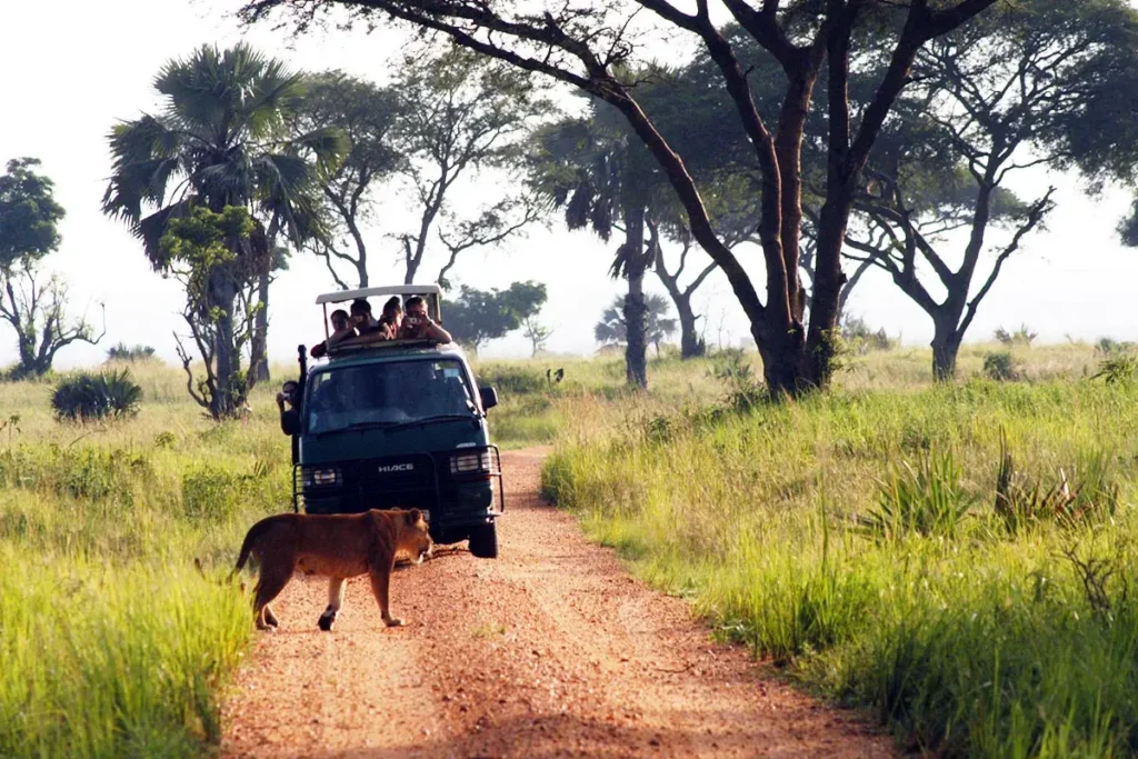 activities in murchison falls national park