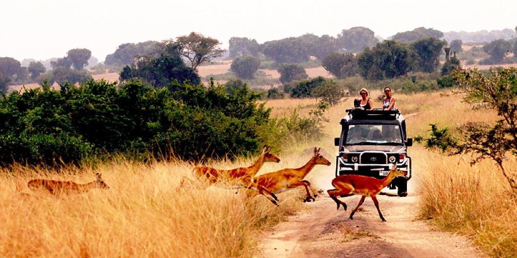 activities at Queen Elizabeth National Park